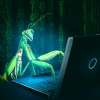 Identity Fraud Never Sleeps, and Neither Should Your Defenses